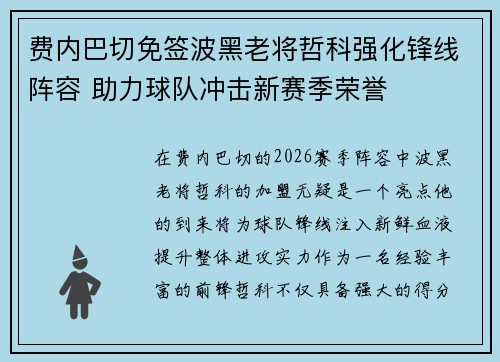 费内巴切免签波黑老将哲科强化锋线阵容 助力球队冲击新赛季荣誉